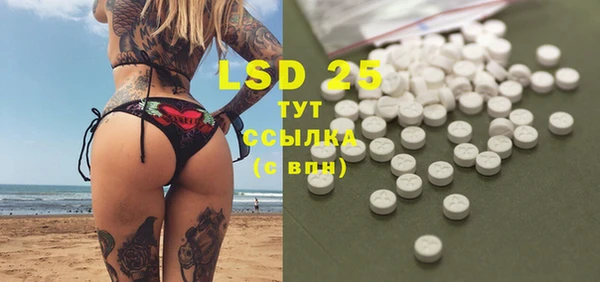 сатива Волоколамск