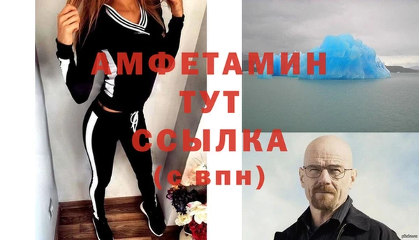 сатива Волоколамск