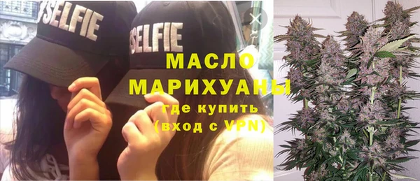 сатива Волоколамск