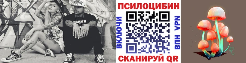 что такое Балаково Галлюциногенные грибы Magic Shrooms